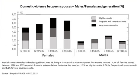 Domestic Violence Statistics