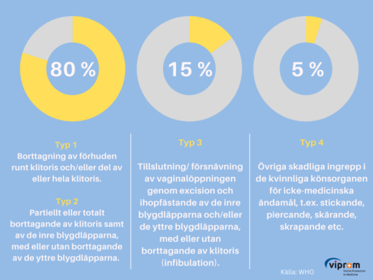 Modul 1: Våldets olika uttryck och mekanismer - Online training ...